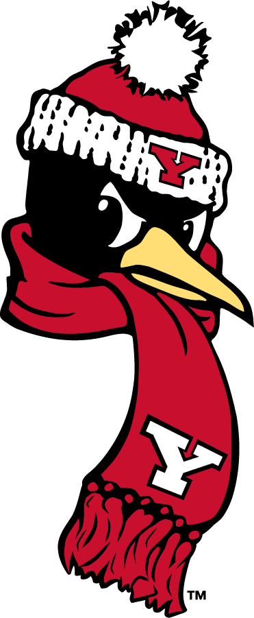 Youngstown State Penguins 2018-Pres Secondary Logo v3 diy iron on heat transfer